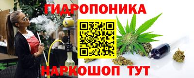 прущие грибы Жуковский