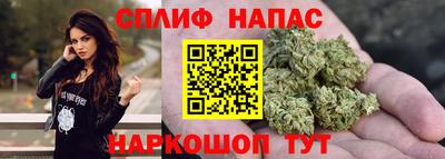 прущие грибы Жуковский