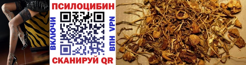 Псилоцибиновые грибы Magic Shrooms Купить где Хабаровск