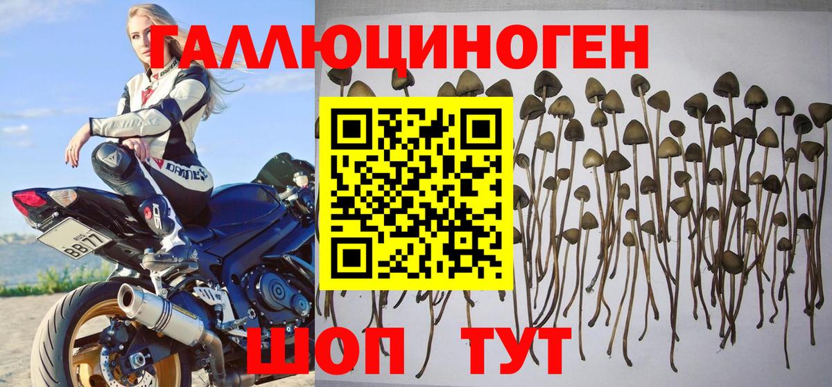 Галлюциногенные грибы мухоморы Хабаровск