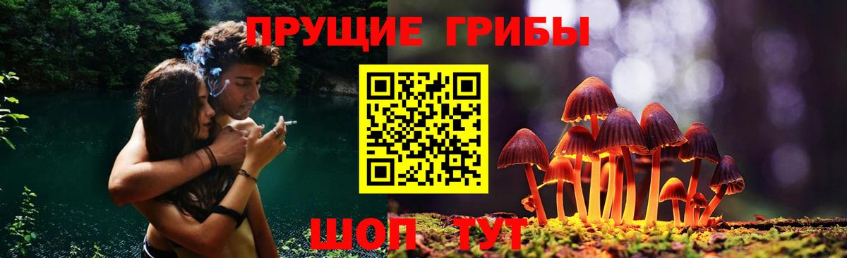 Галлюциногенные грибы прущие грибы  Вход с VPN  Хабаровск 